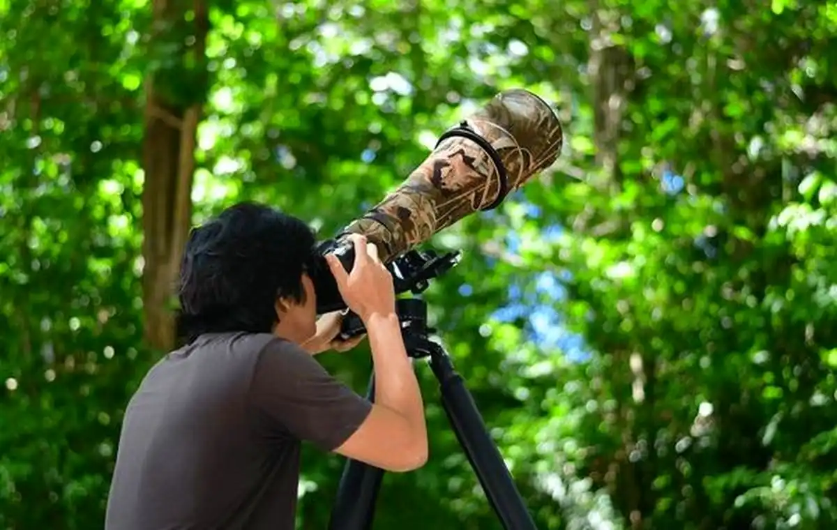 Birdwatching: Beginners Guide to Identifying Common Birds